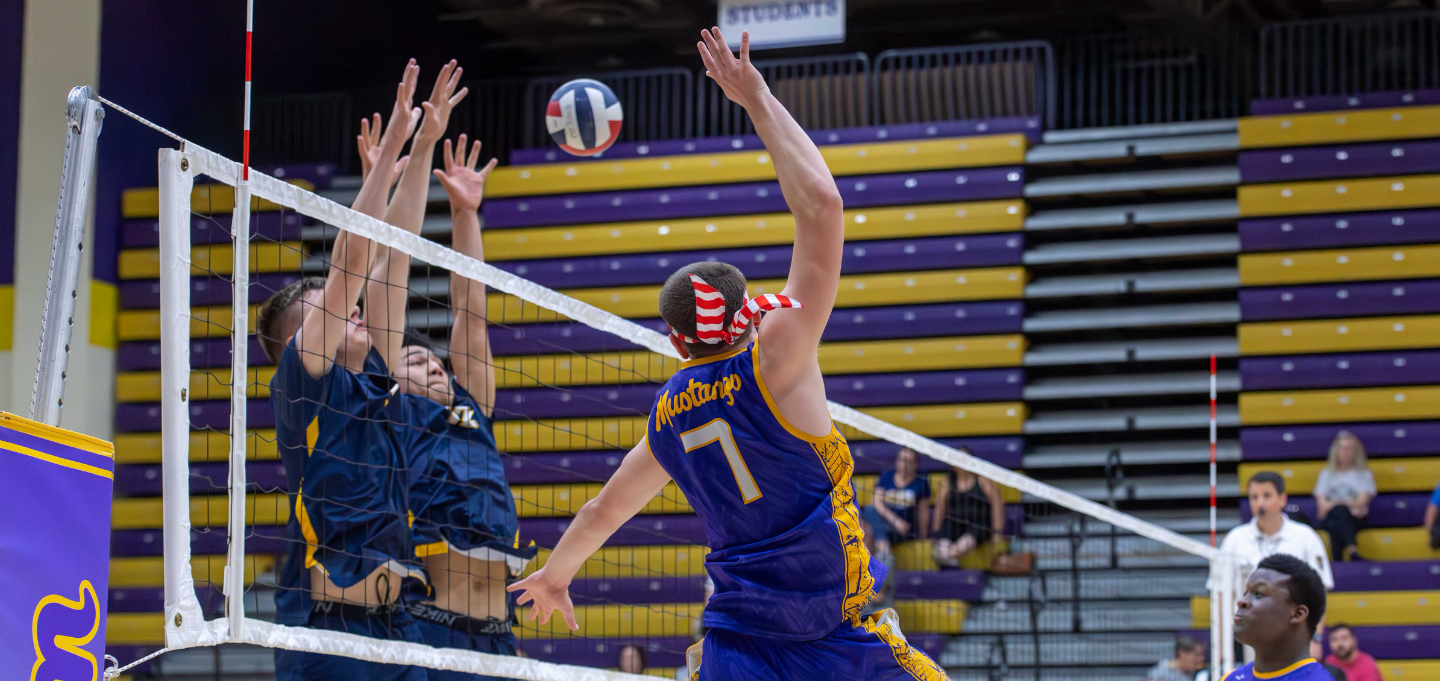 Boys Varsity Volleyball Starts Fast, Knocks Off Central Catholic In Section Match